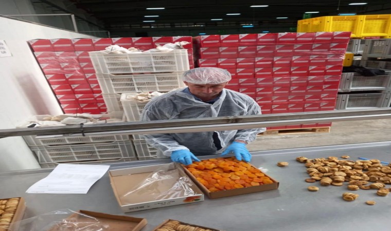 Nazillide 19 bin 472 ton tarımsal ürünün ihracat kontrolü yapıldı