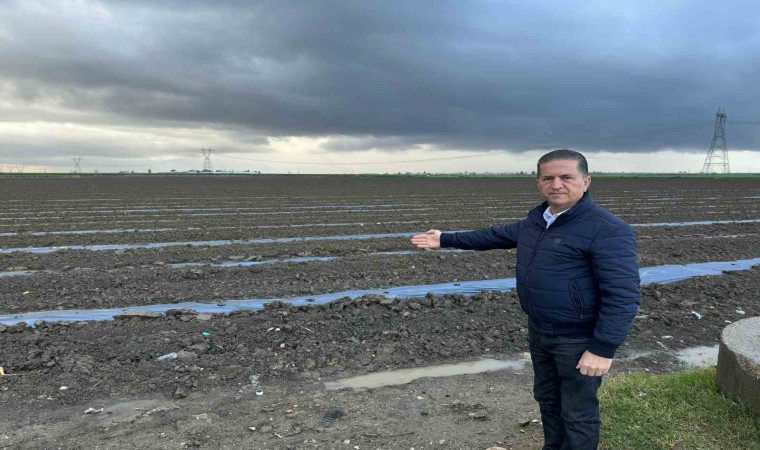 Topraktan temizlenmeyen malç naylonu sürdürülebilir tarımı tehdit ediyor