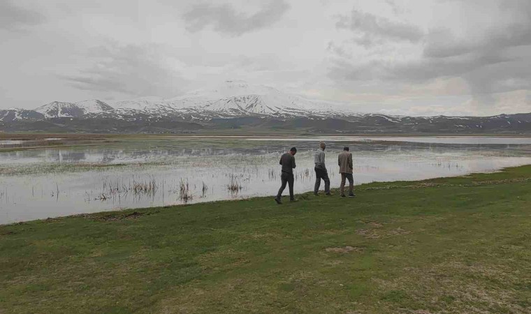 Sarısu Ovasının karlı Süphan Dağıyla kartpostallık görüntüsü