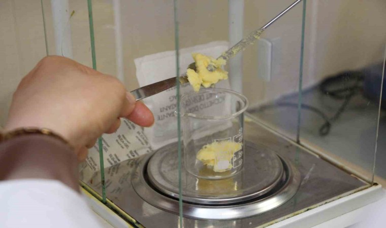 Öğr. Gör. Dr. Mehtap Er Kemal: Laboratuvar ortamı dışında taklit ve tağşişe uğramış tereyağını ayırt etmek çok zor