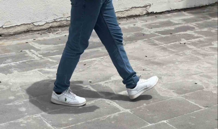 Tatvanda çekirgeler şehir merkezini istila etti