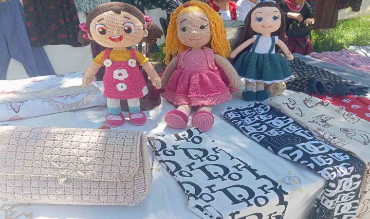 Çıldırda hayat boyu öğrenme etkinliği