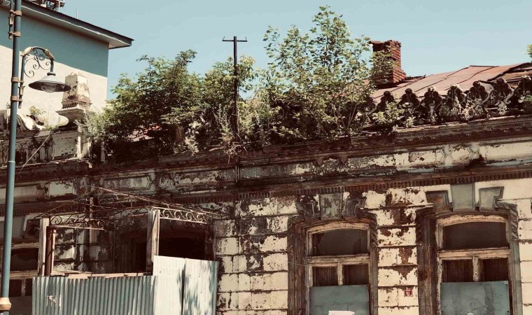 Karsta tarihi binanın üzerinde ağaç yetişti