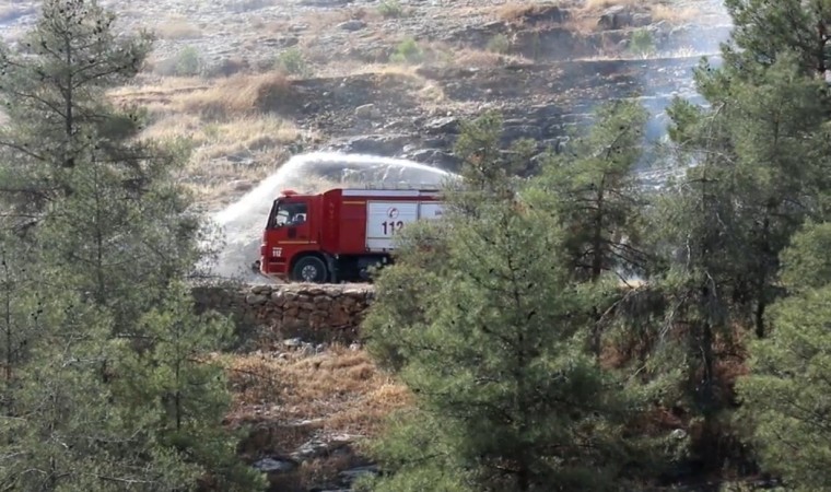 Şanlıurfada ormanlık alanlara giriş yasaklandı