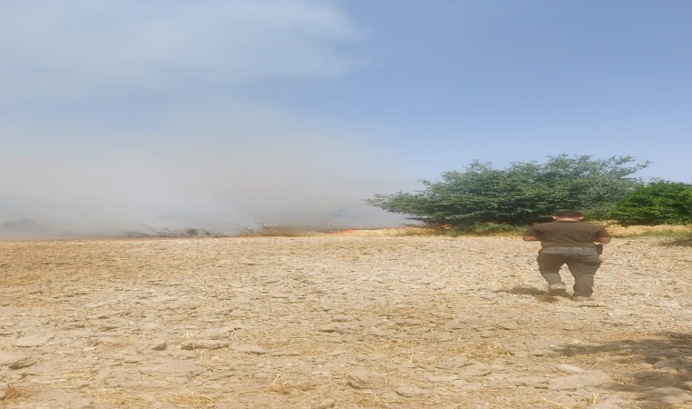 Ulada ziraat arazisinde yangın