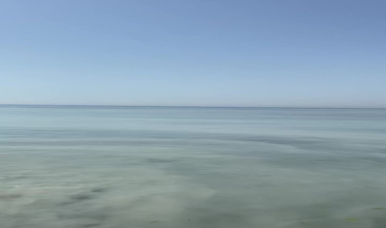 Yalova Esenköyde dereye bırakılan beton santrali atıkları denize dökülüyor