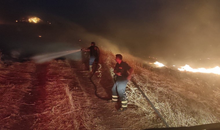 Diyarbakırda orman ve örtü yangını