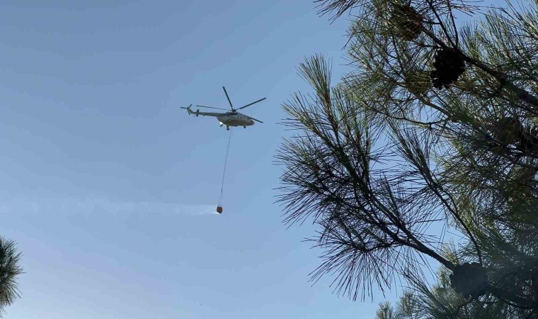 Gaziantepteki orman yangını kontrol altına alındı