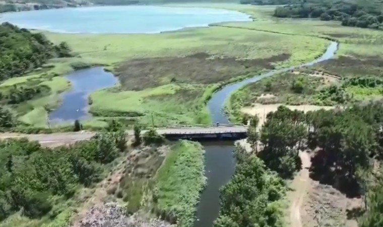 Sarıkum Tabiatı Koruma Alanında 800 ton çöp kaldırıldı