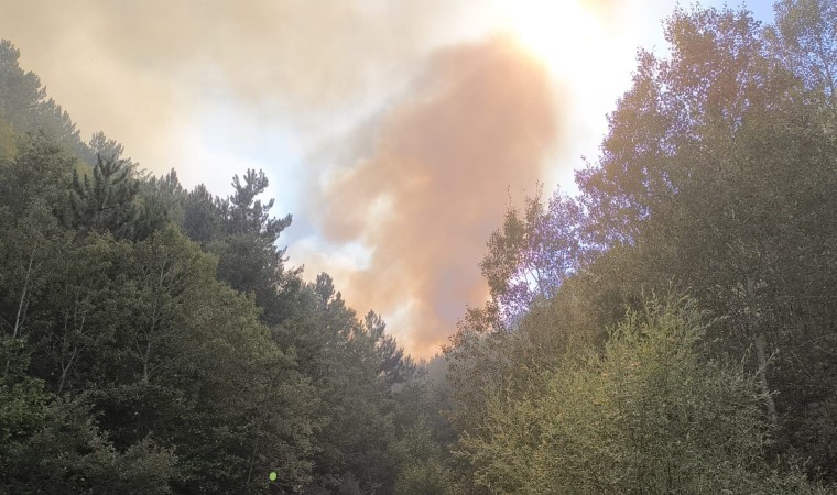 Afyonkarahisarda orman yangını sürüyor