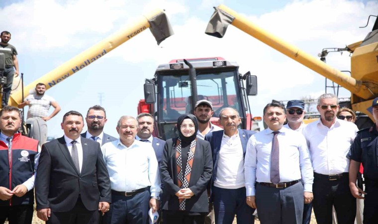 Akyurt Belediye Başkanı Ayıktan biçerdöver ile nohut hasadı