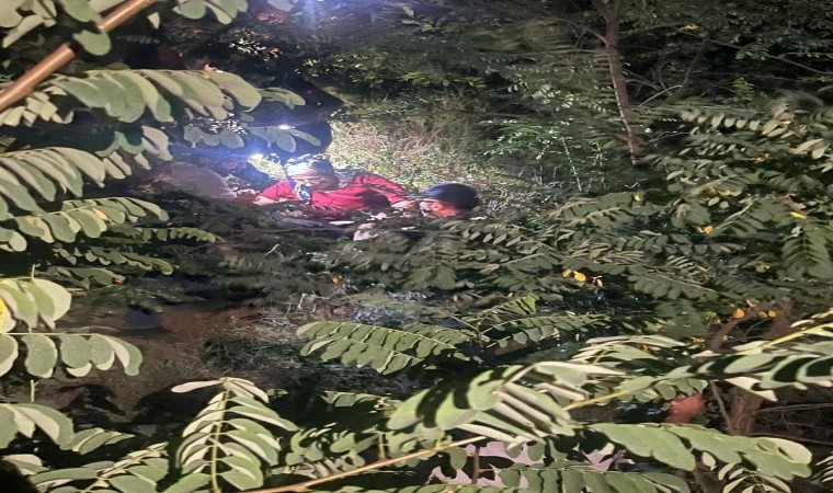 Artvinde dağ kekiği toplayan aile dağda mahsur kaldı, yardımlarına arama kurtarma ekipleri yetişti