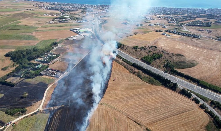 Büyükçekmecede geniş alanda ot yangını