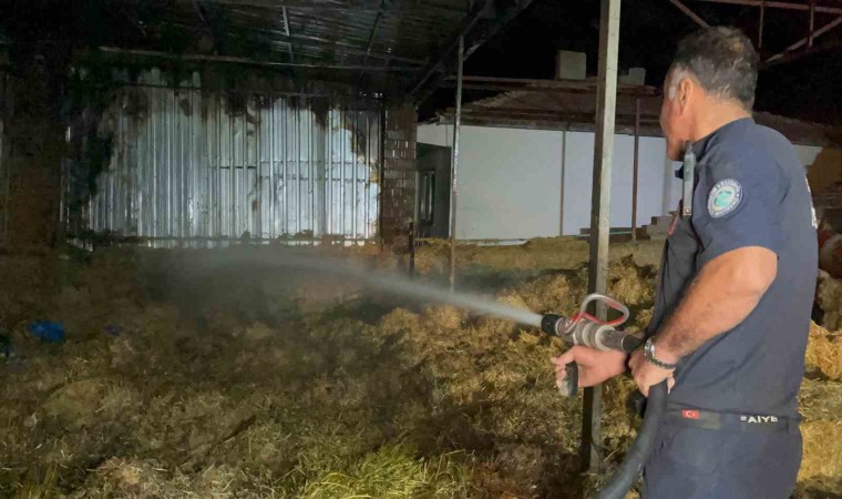 Eskişehirde samanlık yangını: 2 bin balya saman ve 1 traktör küle döndü