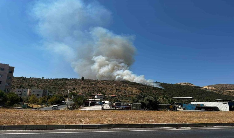 Milasta zirai alan yangını