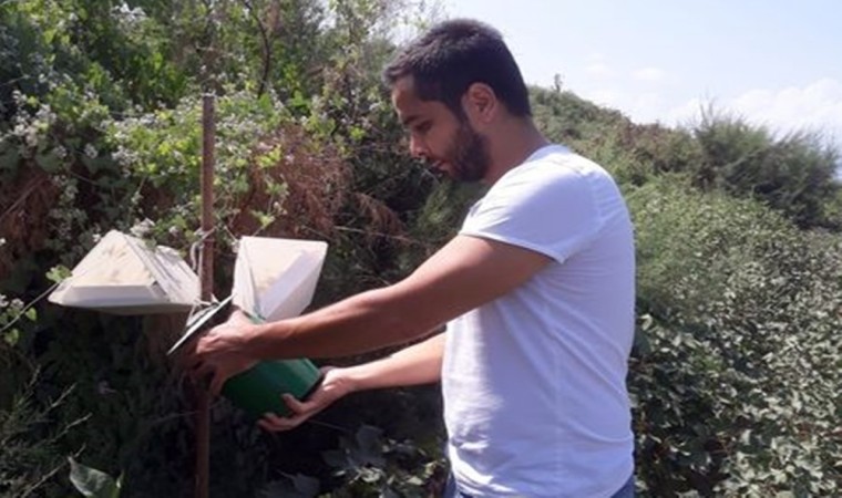 Sökede pamuk tarlalarında zararlı kontrolü yapıldı