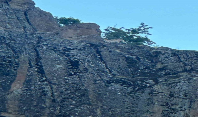 ‘Tırmanış ustaları kendilerine hayran bırakmaya devam ediyor