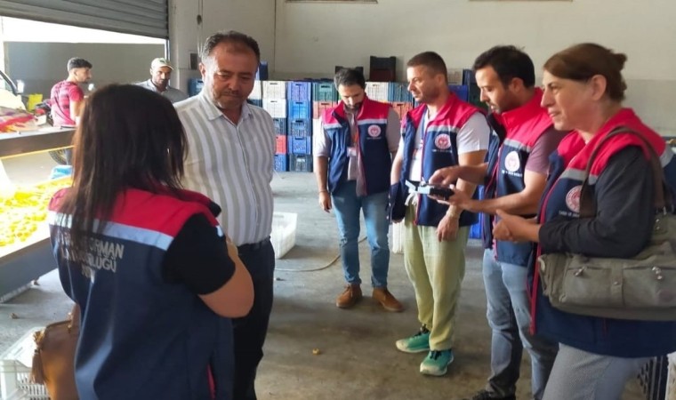 Aydında incir üreticilerine aflatoksin ve okratoksin uyarısı