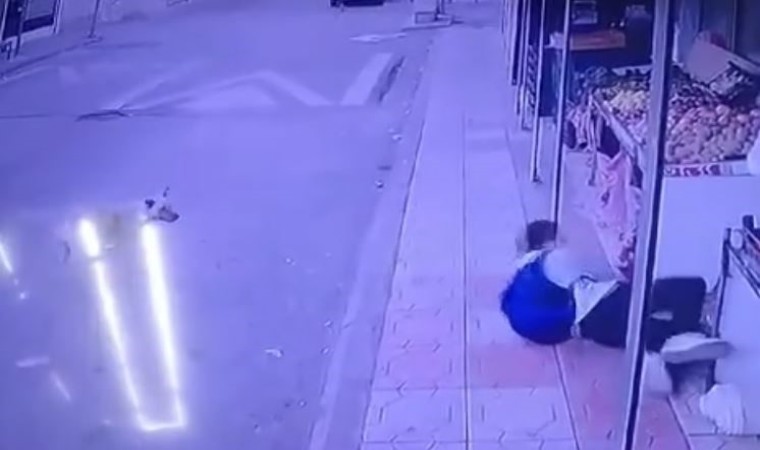 Başıboş sokak köpeğinden kaçtı düşüp markete sığınarak kurtuldu