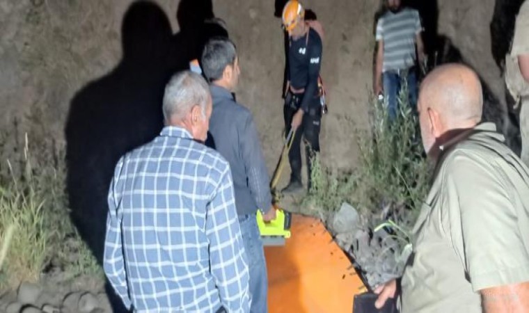 Bingölde bal toplamaya giden 55 yaşındaki adam, kayalıklardan düşerek hayatını kaybetti