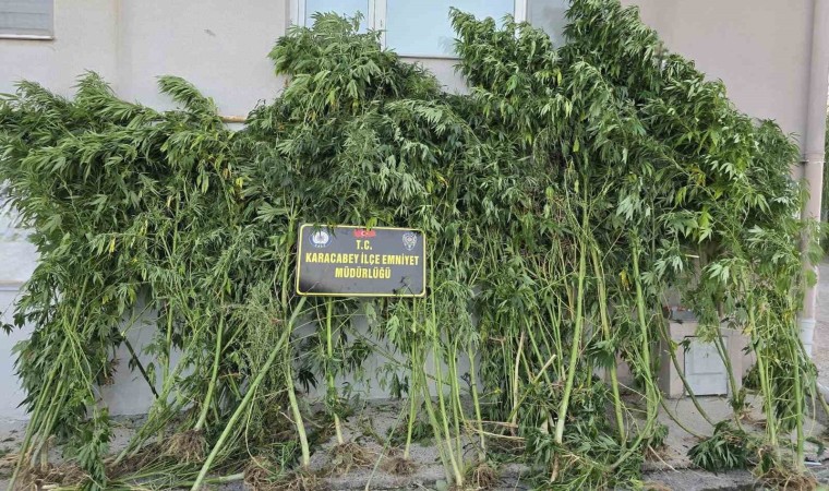 Karacabeyde uyuşturucu operasyonunda 1 tutuklama