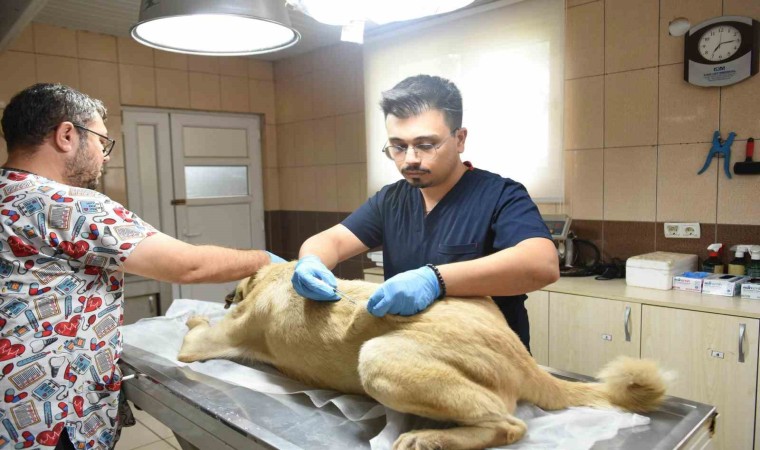 Kepezden can dosta sıcacık dokunuş