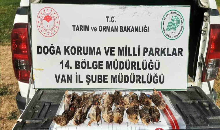 Kota aşımı yapan 3 avcıya 57 bin 373 lira cezai işlem uygulanacak
