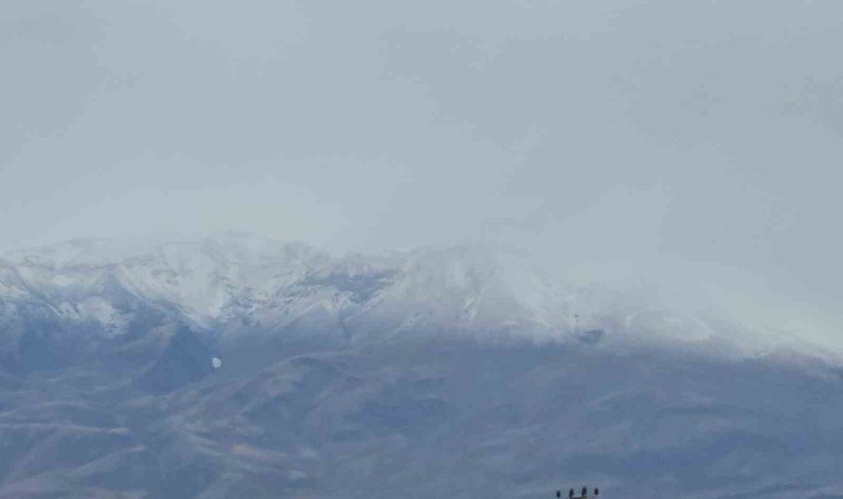 Süphan Dağına mevsimin ilk karı yağdı