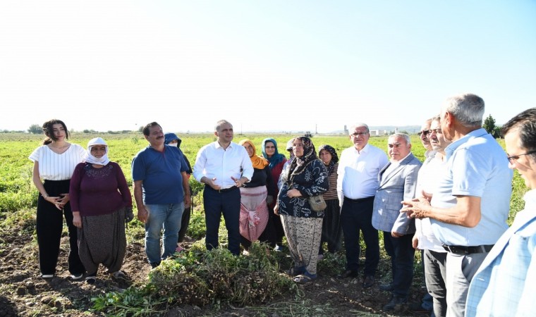 Yer fıstığının başkenti Osmaniyede festival heyecanı