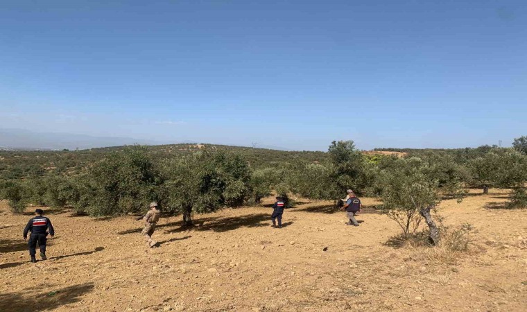 Balıkesirde zeytinliklere jandarma koruması