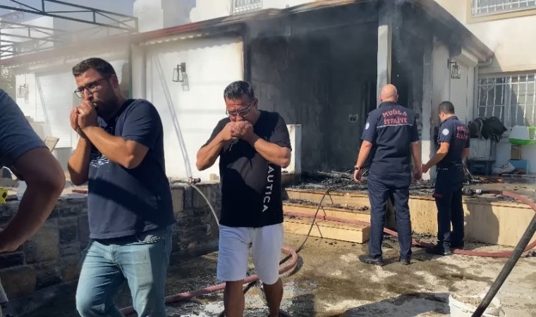 Muhabbet kuşlarını suni teneffüsle kurtarmaya çalıştılar