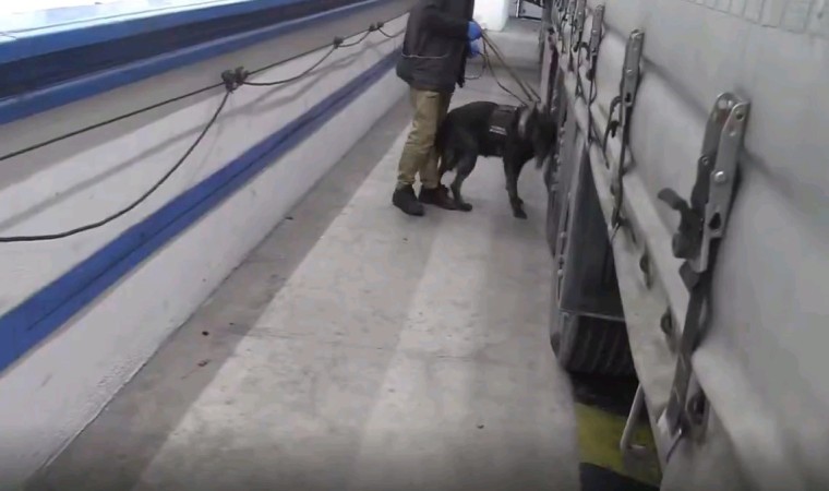 Hamzabeyli Sınır Kapısında 17 kilogram kokain yakalandı