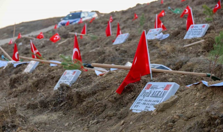 Her şehit anısına bir fidan