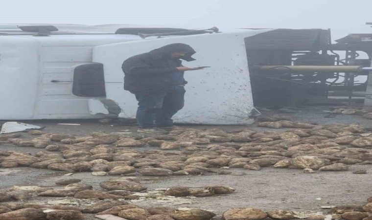 Afşinde pancar yüklü tır devrildi