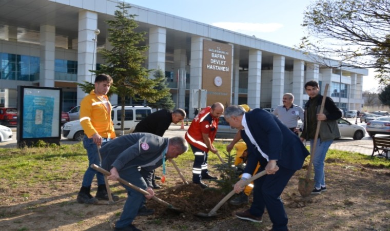 Bafra Devlet Hastanesinde fidan dikim etkinliği