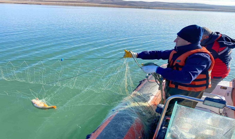 Barajda 4 kilometre uzunluğunda hayalet ağ çıktı, ağa takılan balıklar yeniden suya salındı