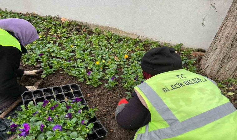 Bilecik Belediyesinden peyzaj düzenlemeleri
