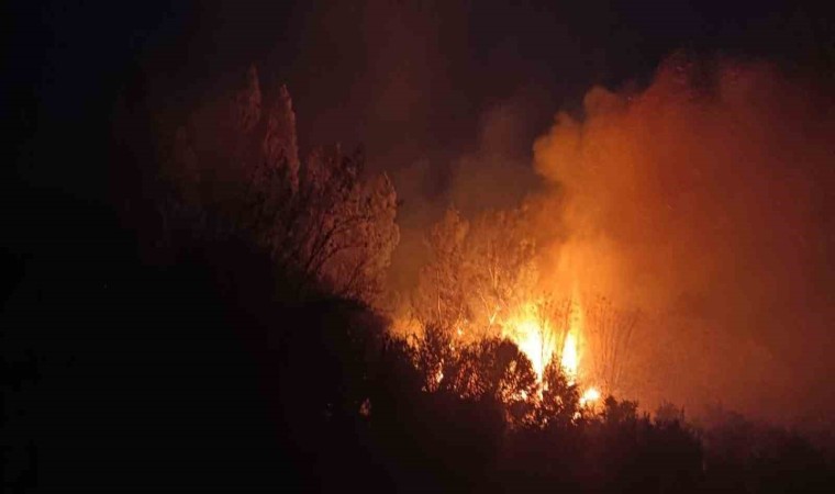 Dörtyolda sazlık alanda yangın çıktı