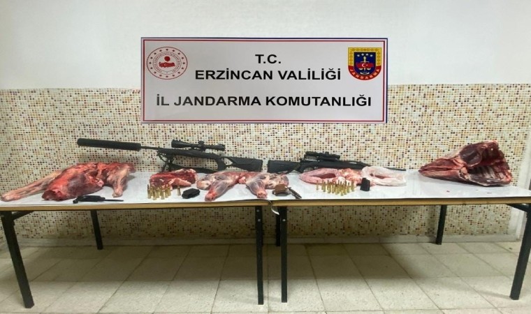 Erzincanda susturucu kullanarak dağ keçilerini kaçak avlayan 4 kişiye 692 bin 192 TL ceza kesildi
