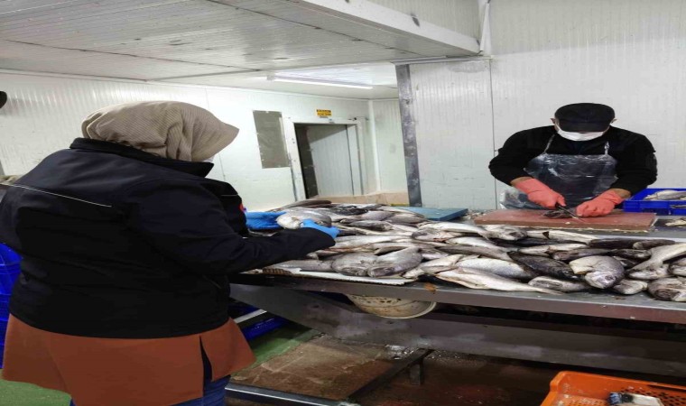 Hüyükte balık işleme tesisi ve restoranlarına denetim