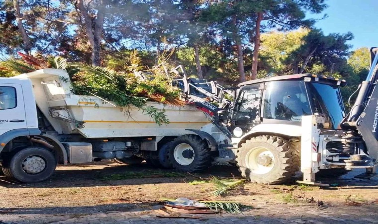 İlkadımda ağaçlara estetik müdahale