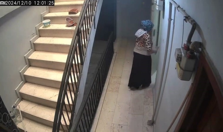 İnegölde hırsızı köpek engelledi...O anlar kamerada