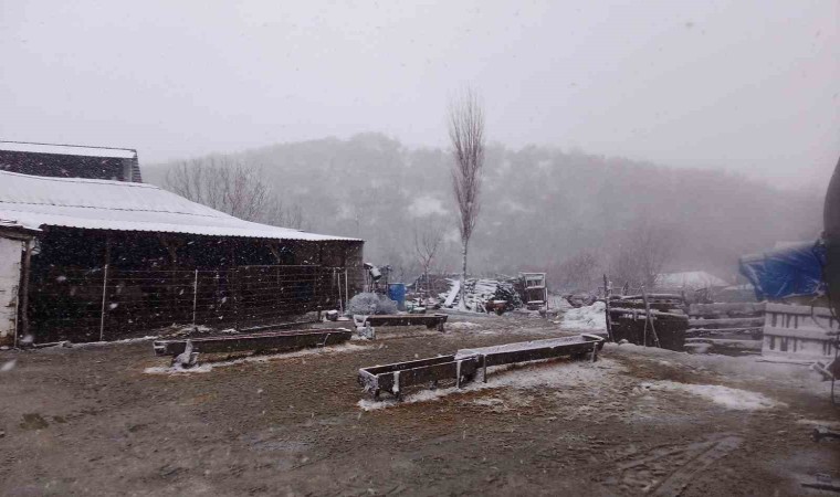 Kar, Balkanlardan Edirneye giriş yaptı: Sınır köyler beyaza büründü