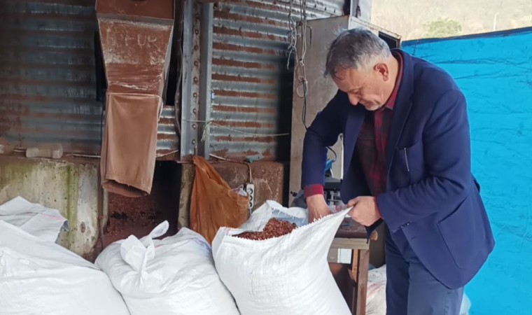 Karadenizde odun yerine kullanılan fındık kabuğu fiyatları düştü