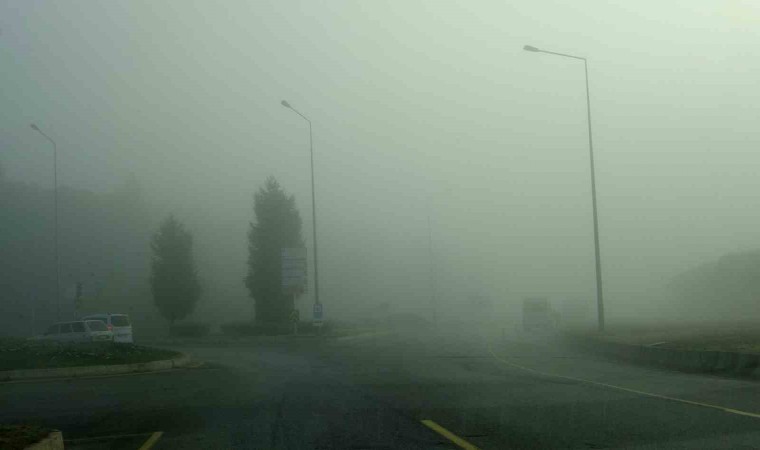 Menteşede sis sürücüleri zorladı