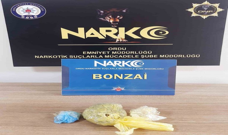 Orduda uyuşturucu operasyonlarında 1 tutuklama