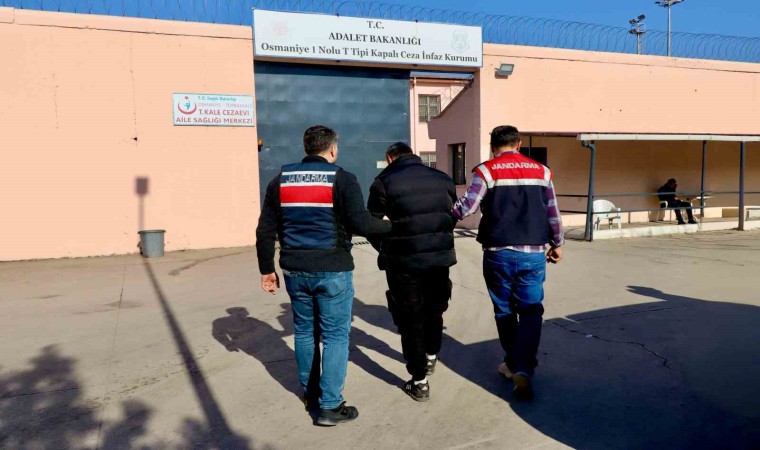Osmaniyede El Kaide operasyonu: 1 tutuklama