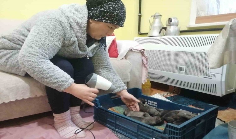 Sancaktepede çöp konteynerine atılmış poşet içinde 11 yavru köpek bulundu