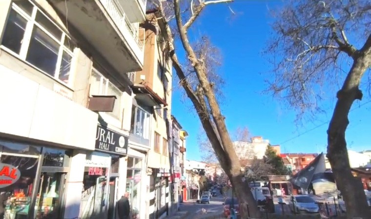 Simavda anıt çınar binanın üzerine devrildi