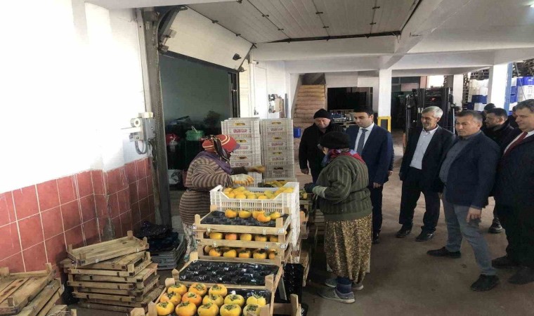 Türkiyenin dört bir yanına bu soğuk hava deposundan meyveler gidiyor